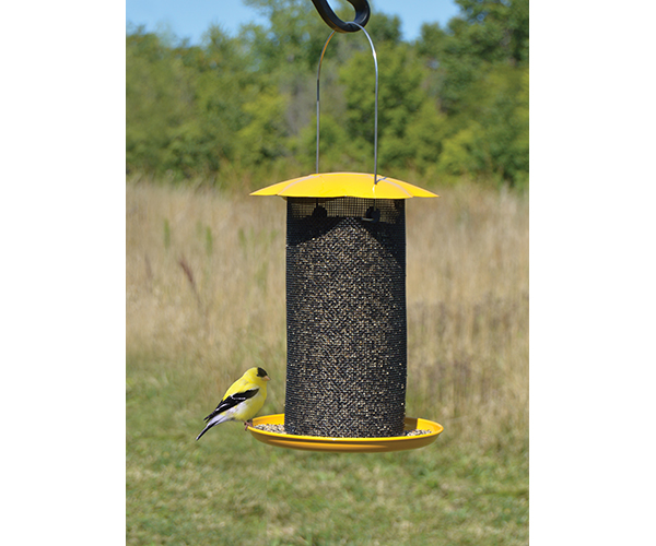 Songbird Essentials Mammoth Yellow Thistle Nyjer Seed Bird Feeder