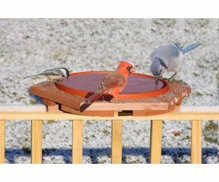 Songbird Essentials Cedar Deck Mounted Heated Bird Bath