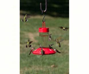 Dr. JB's 16 oz Clean Feeder All Red