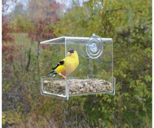 Songbird Essentials Clear View Mini Window Bird Feeder