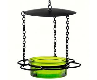 Couronne Co. Hanging Floral-Inspired Glass Dish Bird Feeder (Color: Lime)