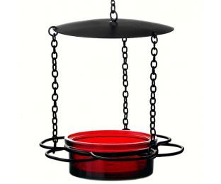 Couronne Co. Hanging Floral-Inspired Glass Dish Bird Feeder (Color: Red)