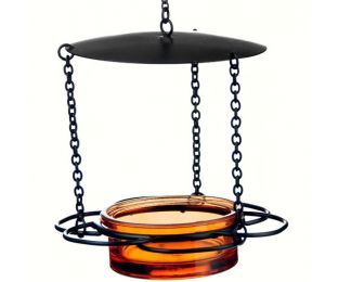 Couronne Co. Hanging Floral-Inspired Glass Dish Bird Feeder (Color: Orange)