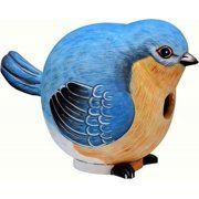 Songbird Essentials Animal Gord-O Birdhouses (Animal: Bluebird)