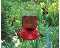 Dr. JBâ€™s Complete Switchable Hummingbird Feeder With Red Flowers (Jar Size: 48 Oz.)