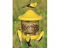 Songbird Essentials Clingers Only Plastic Bird Feeder (Color: Yellow)