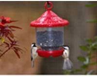 Songbird Essentials Clingers Only Plastic Bird Feeder (Color: Red)